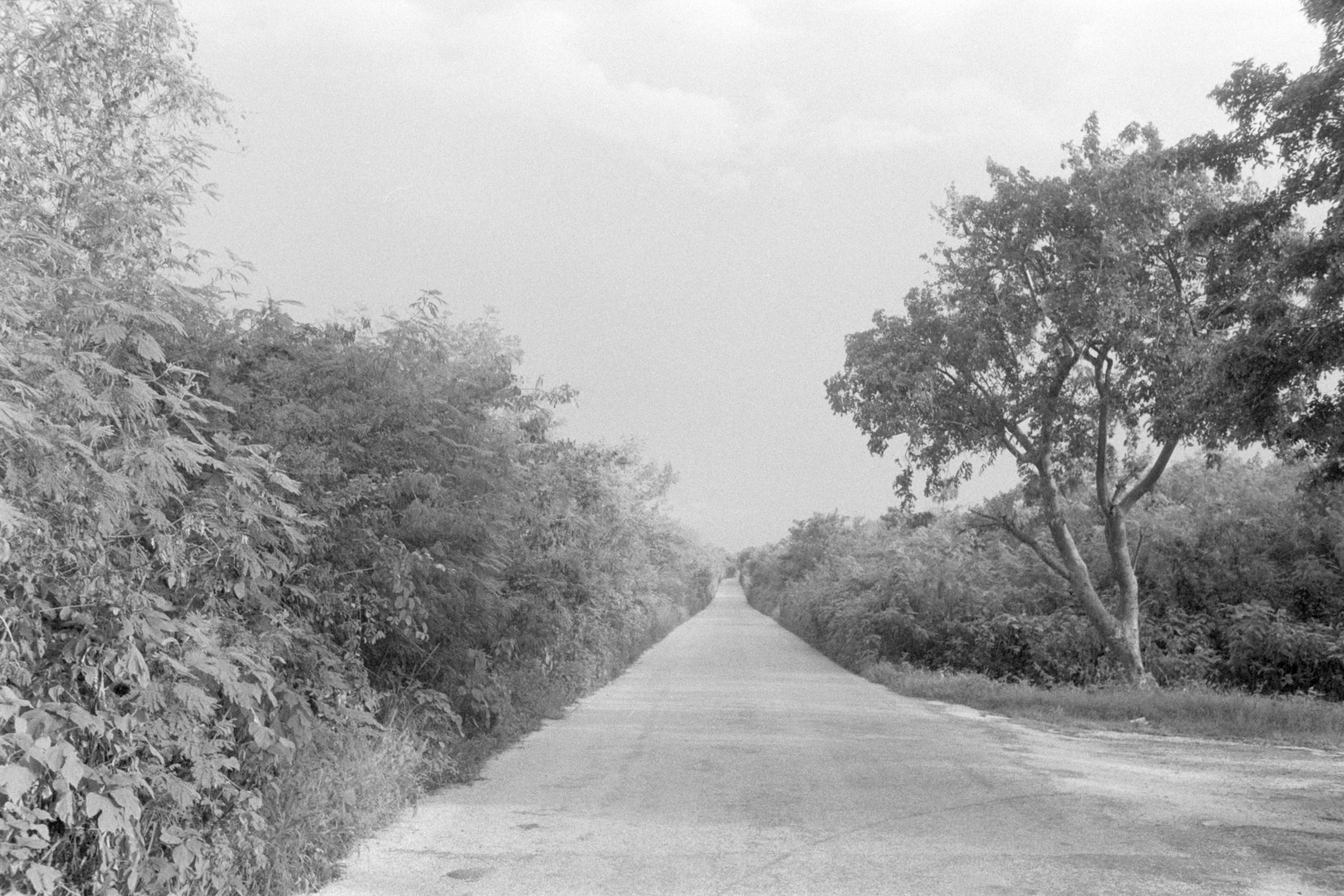 AHP FilmScan 240807 0689